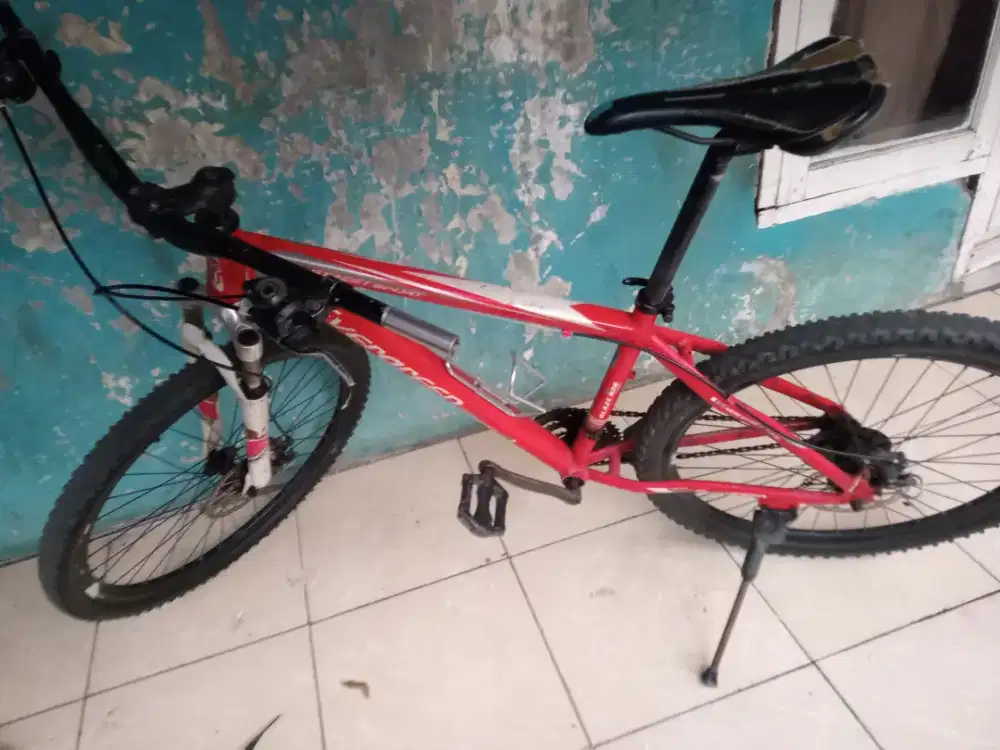 Jual cepet sepeda Evergreen