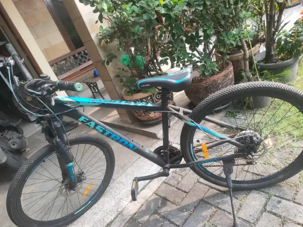 Sepeda gunung (mtb) Fastron seri F260 DK