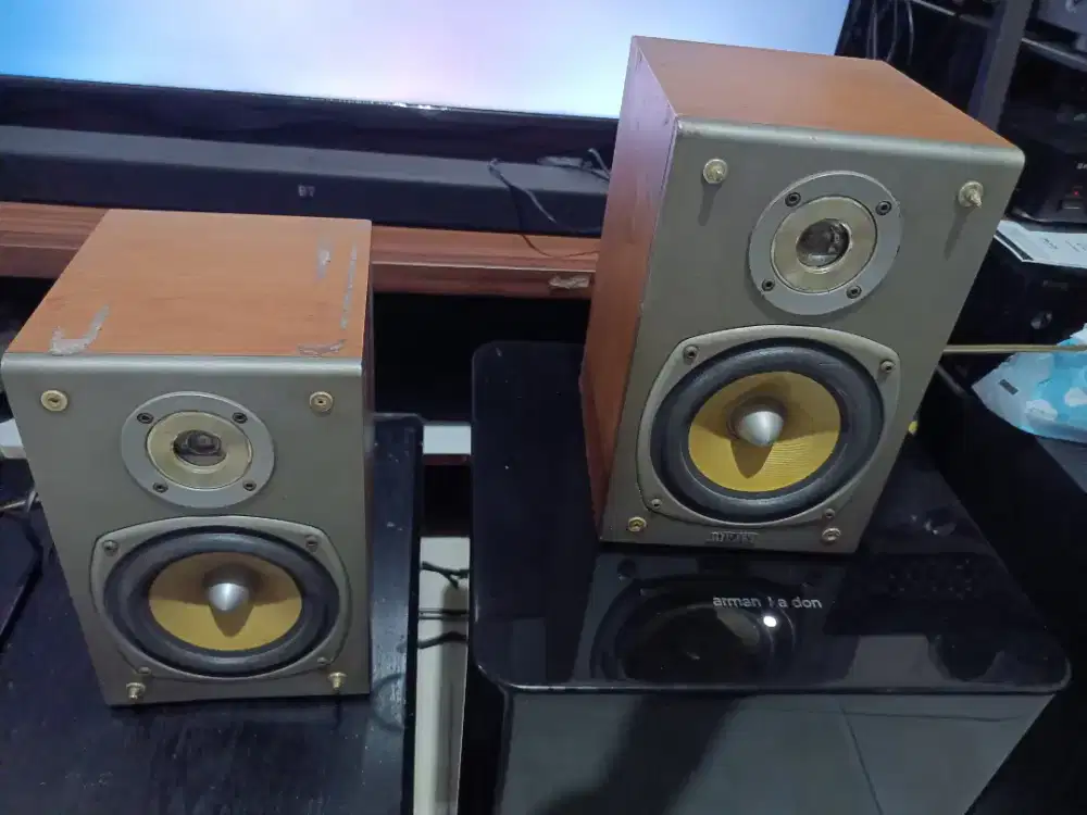 Speaker Booksheff Mirage speker