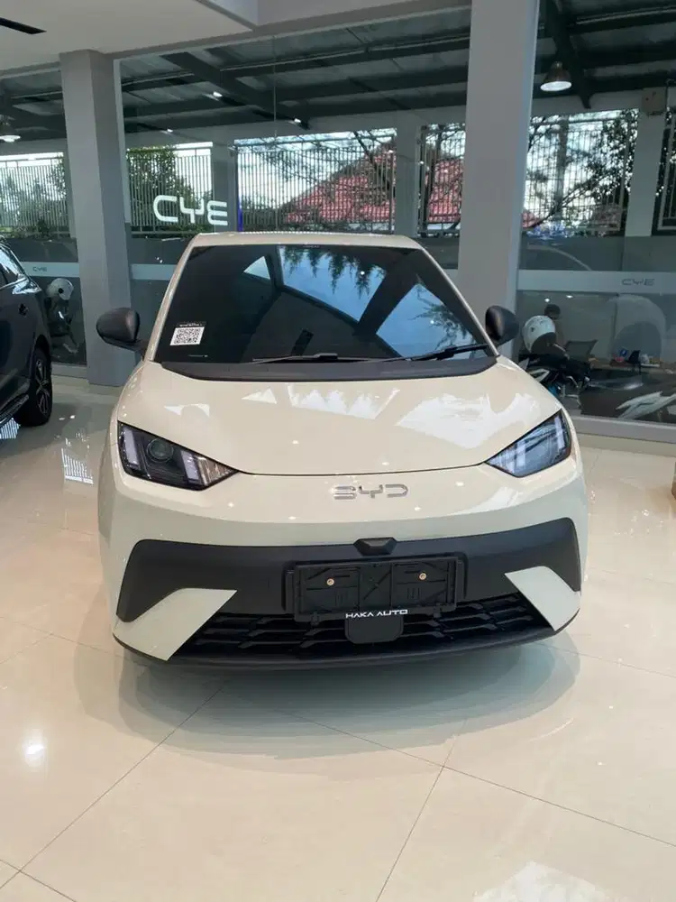 Byd Atto 1 Standard 2026