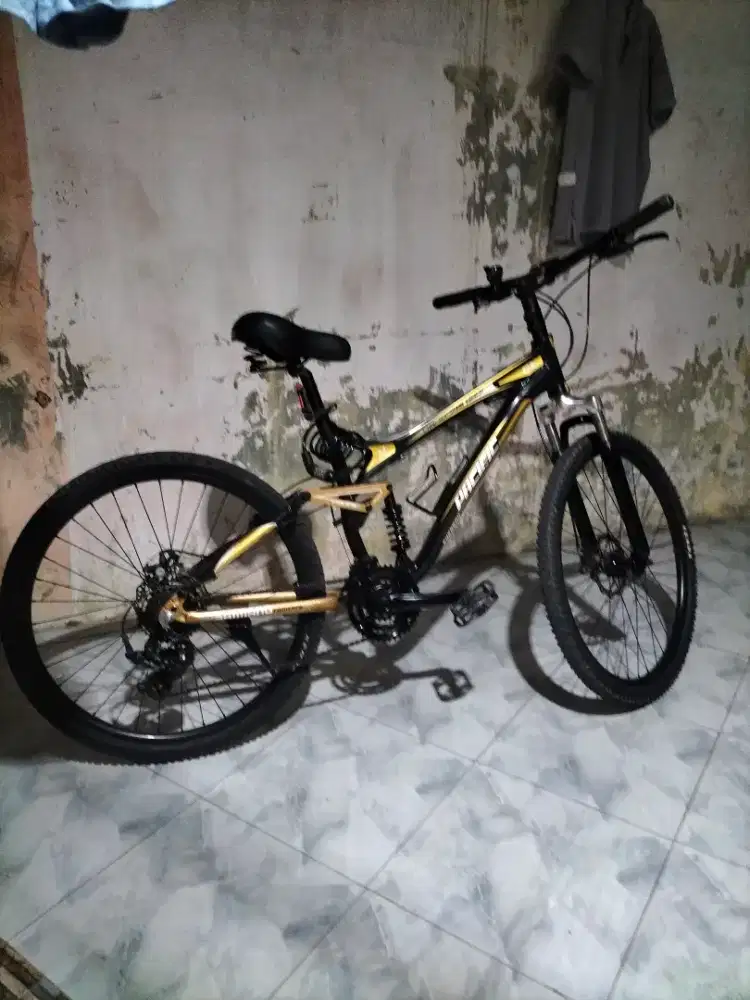 sepeda pacific Emerson 6061
