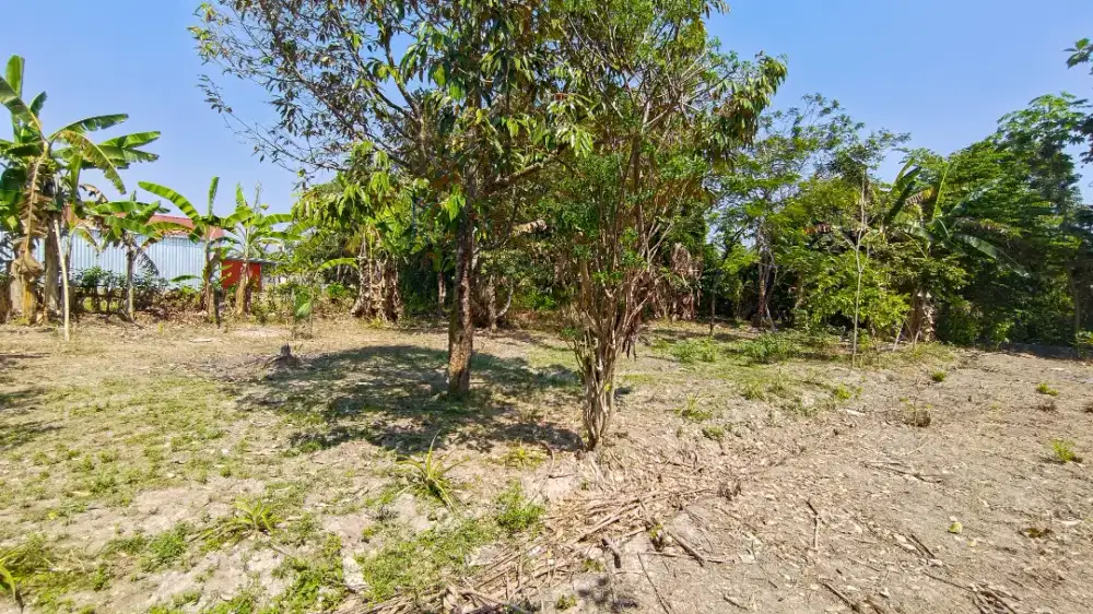 DIJUAL TANAH STRATEGIS PINGGIR JALAN