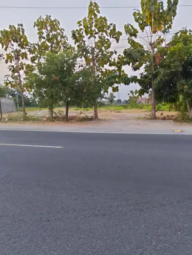 Disewakan lahan tanah