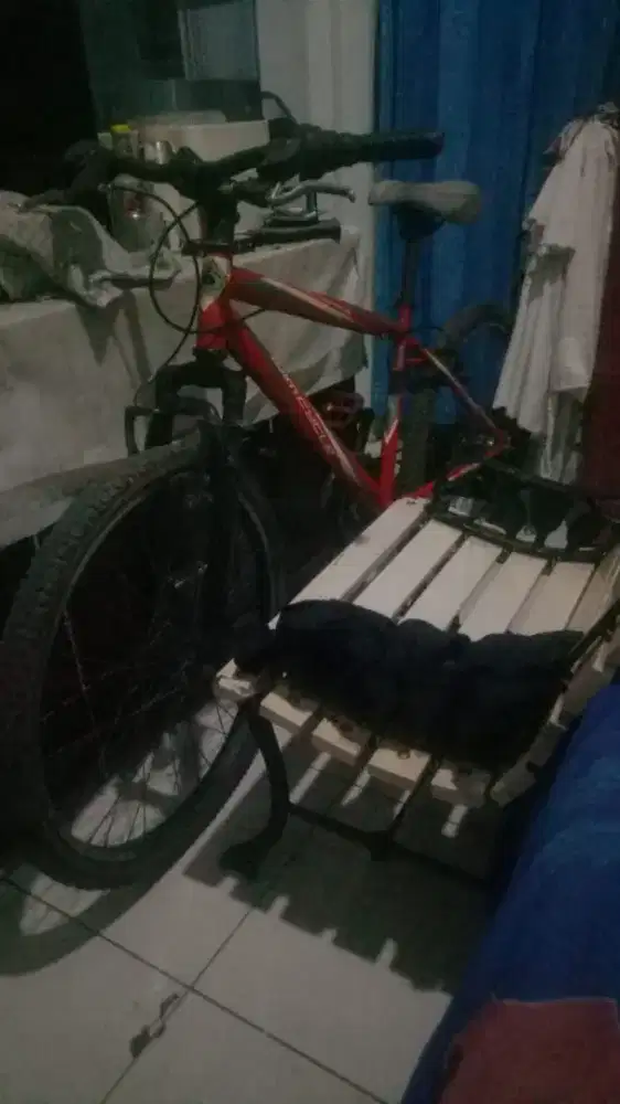 JUAL SEPADA WIMSCALL