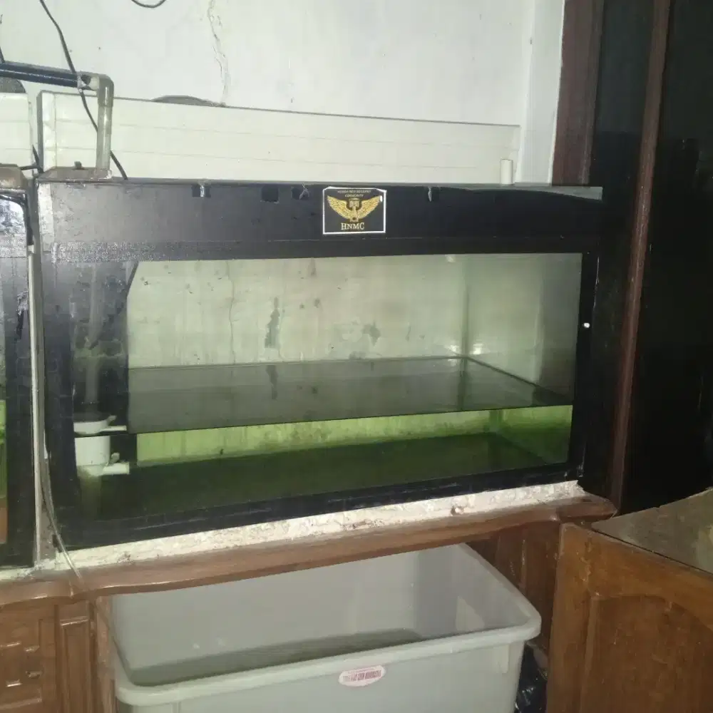Aquarium ikan ikan