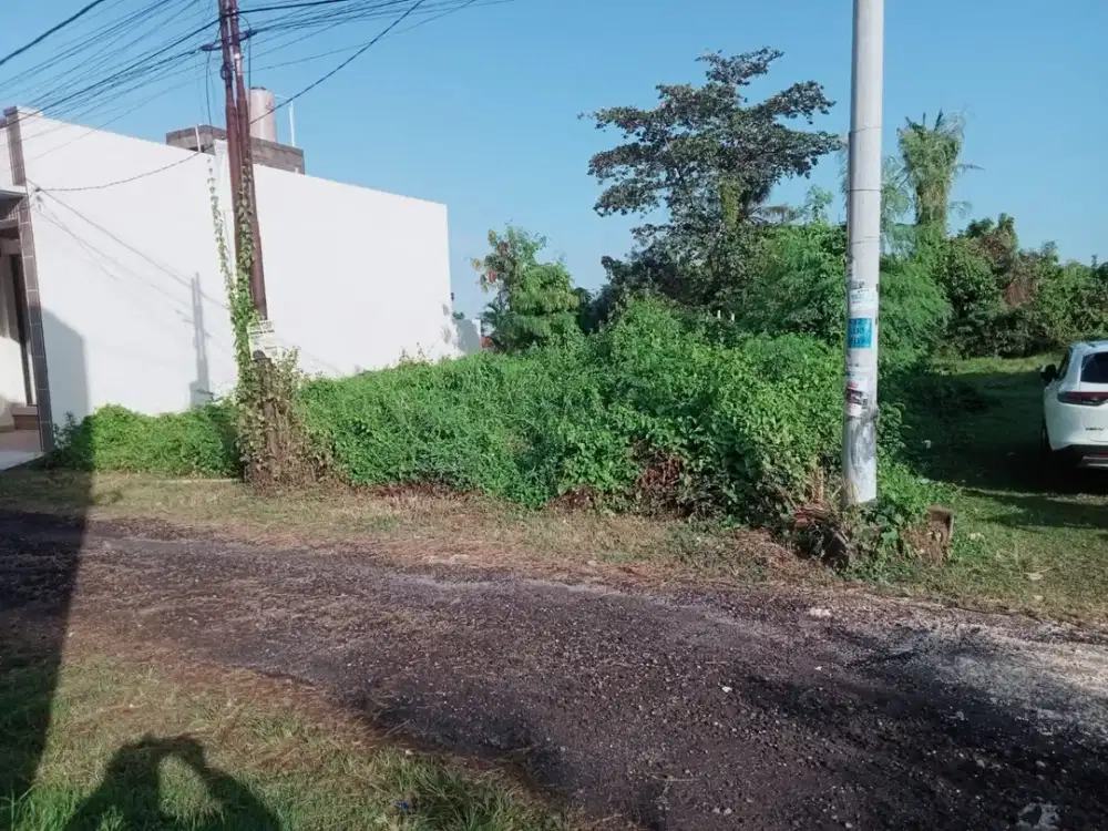 Land For Sale Munggu Pemaron