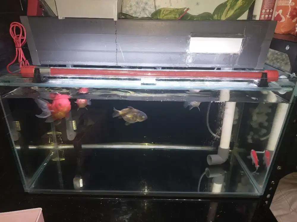 Aquarium 60x30x30 lengkap sama filter talang & pompa