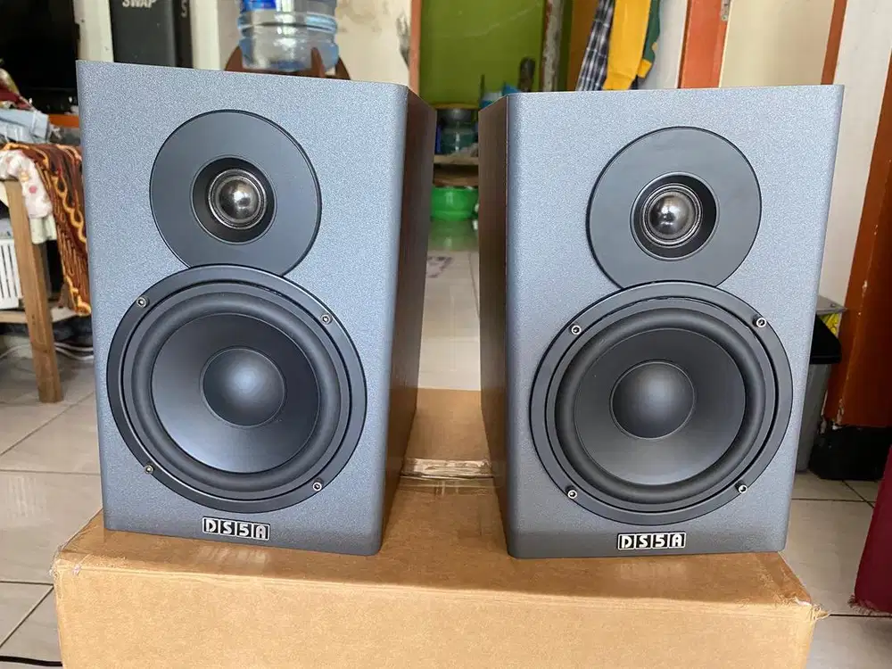 Dolphin sound DS5K Mk6 spiker monitor flat