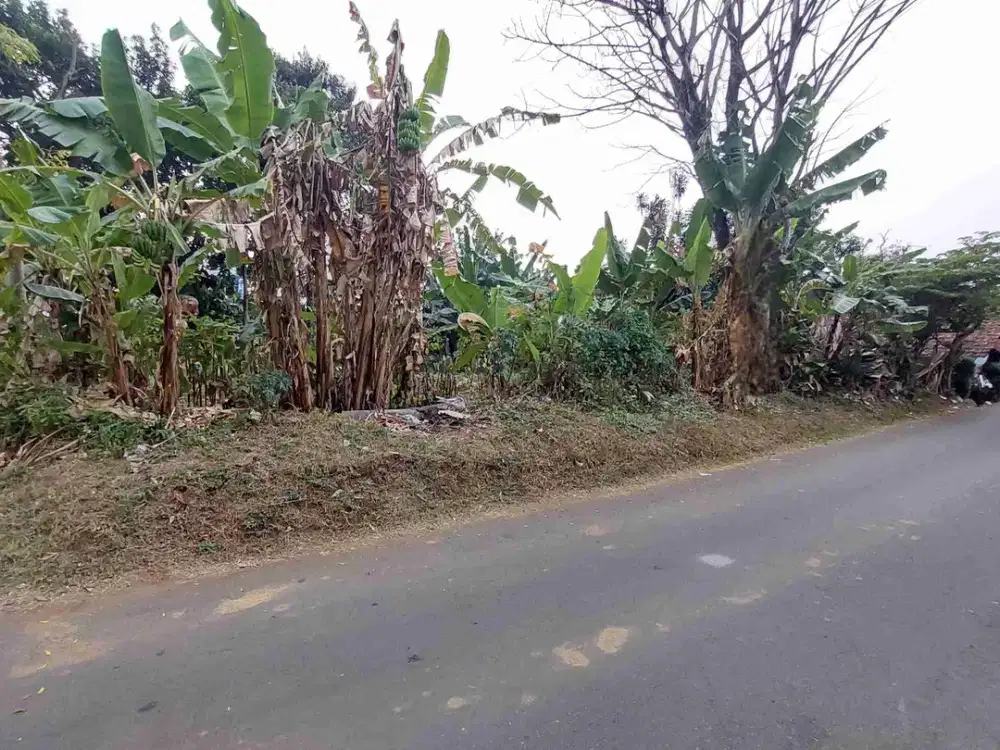 tanah murah 2 jutaan bogor kota akses 2 tol deket sentul dan sumarecon