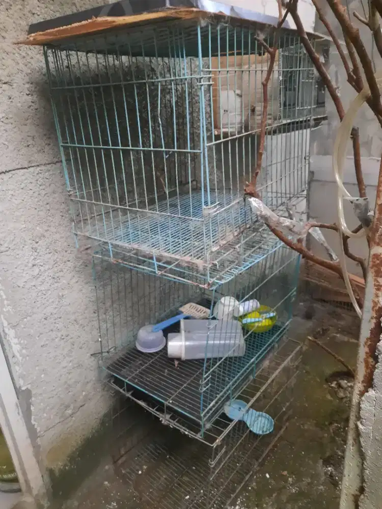 Kandang kucing 3 buah