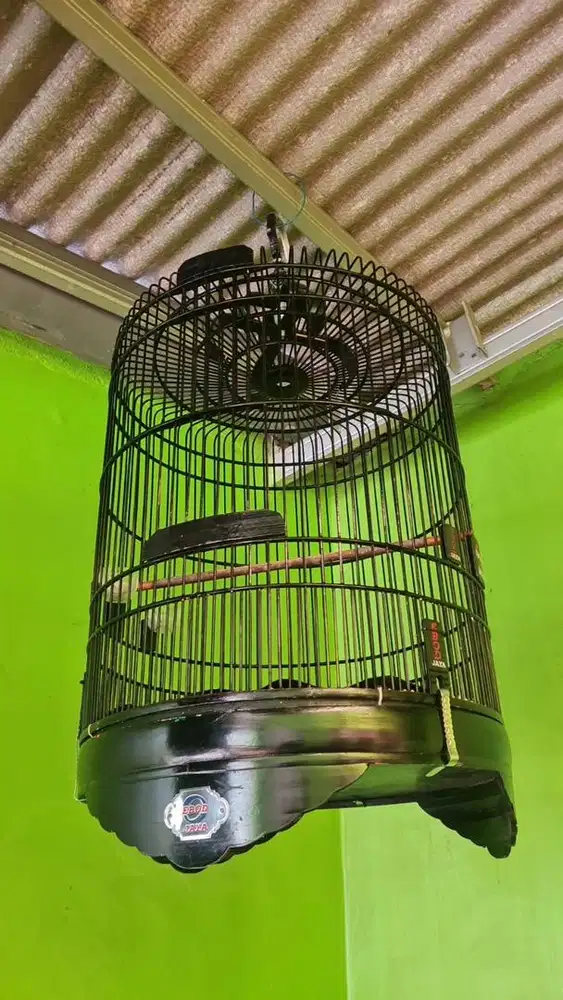 Kandang Murai No 3 Ebod