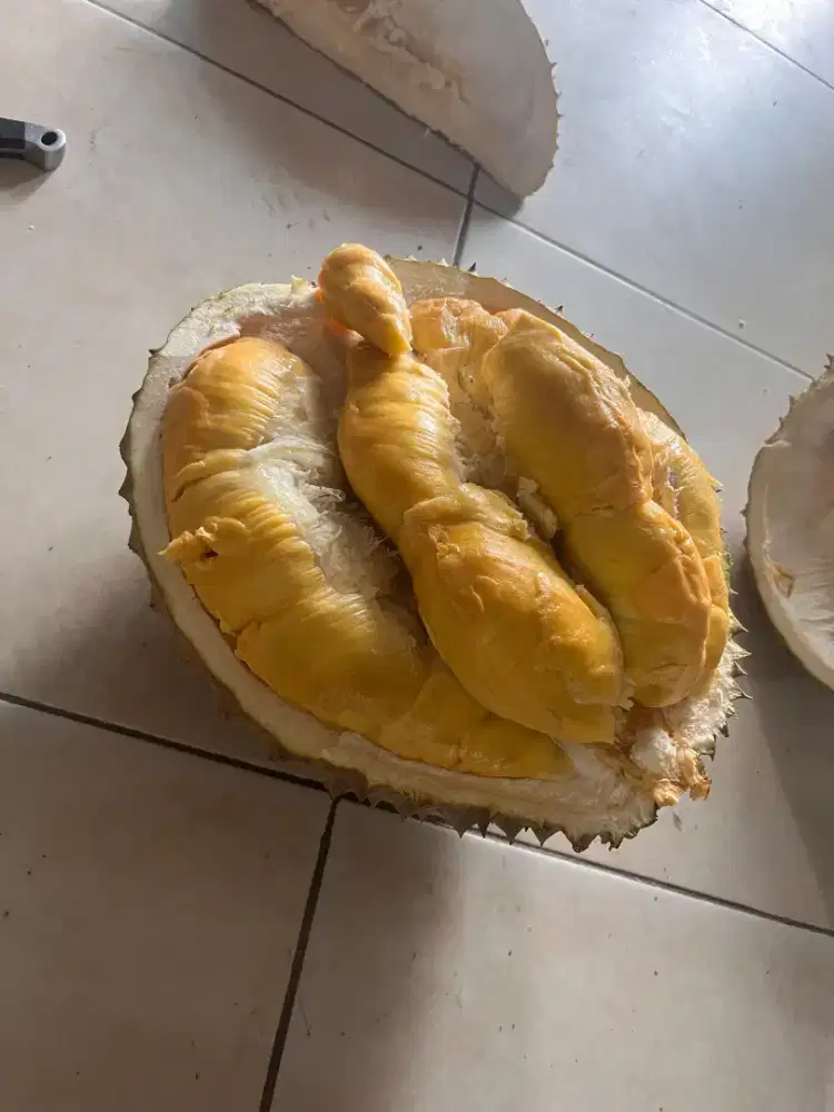 Durian bawor premium asli banyumas