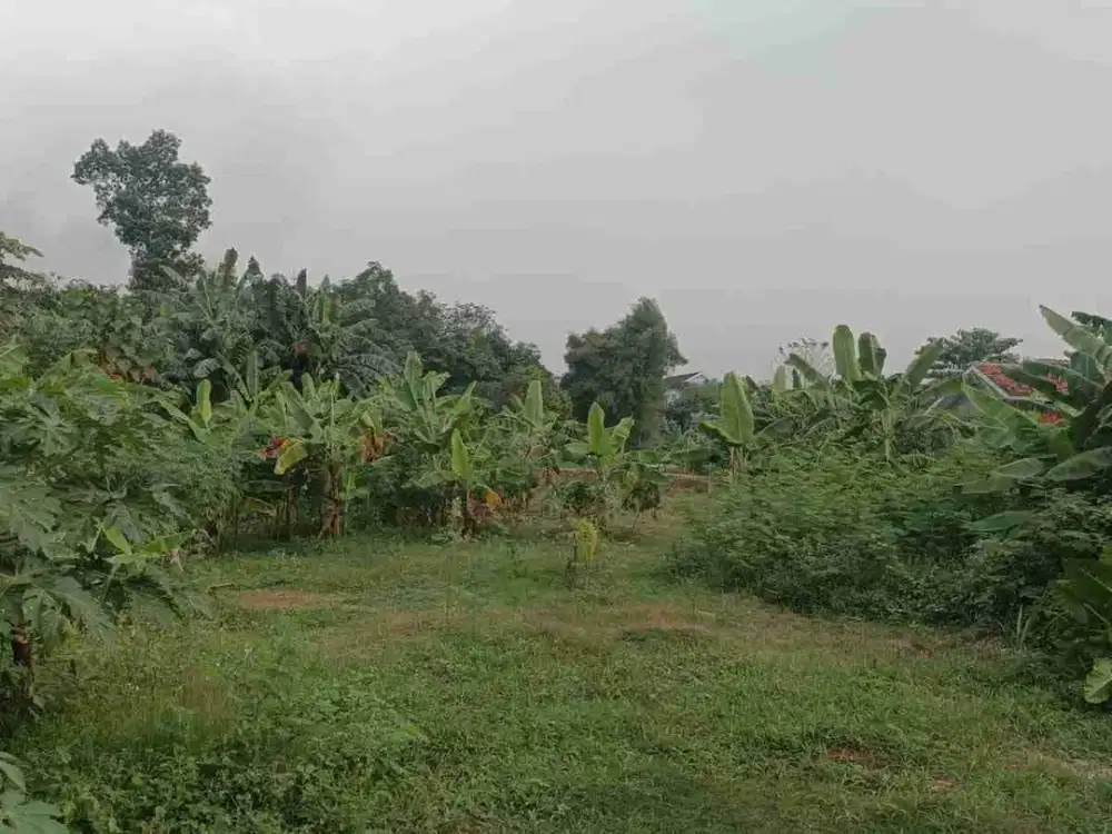 Tanah luas 1250 m² di dekat Citra Garden Serpong Cisauk