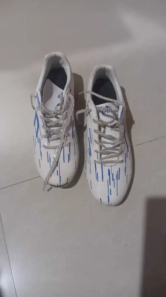 light speecs reborn white blue