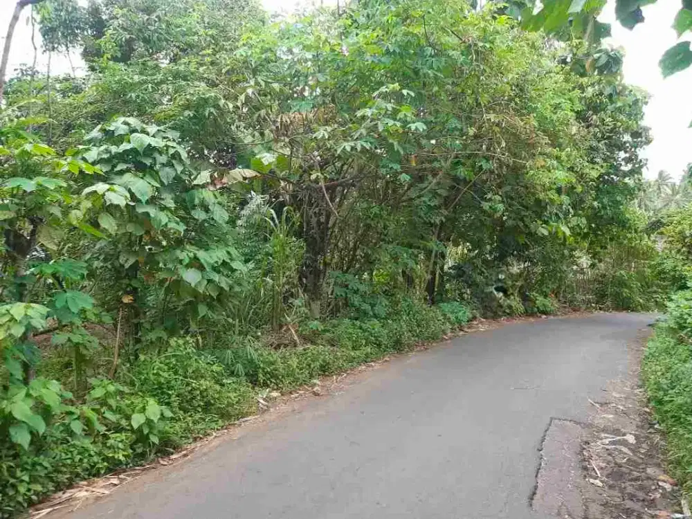 DIJUAL CEPAT TANAH STRATEGIS DAERAH MAPANGET, HARGA MURAH
