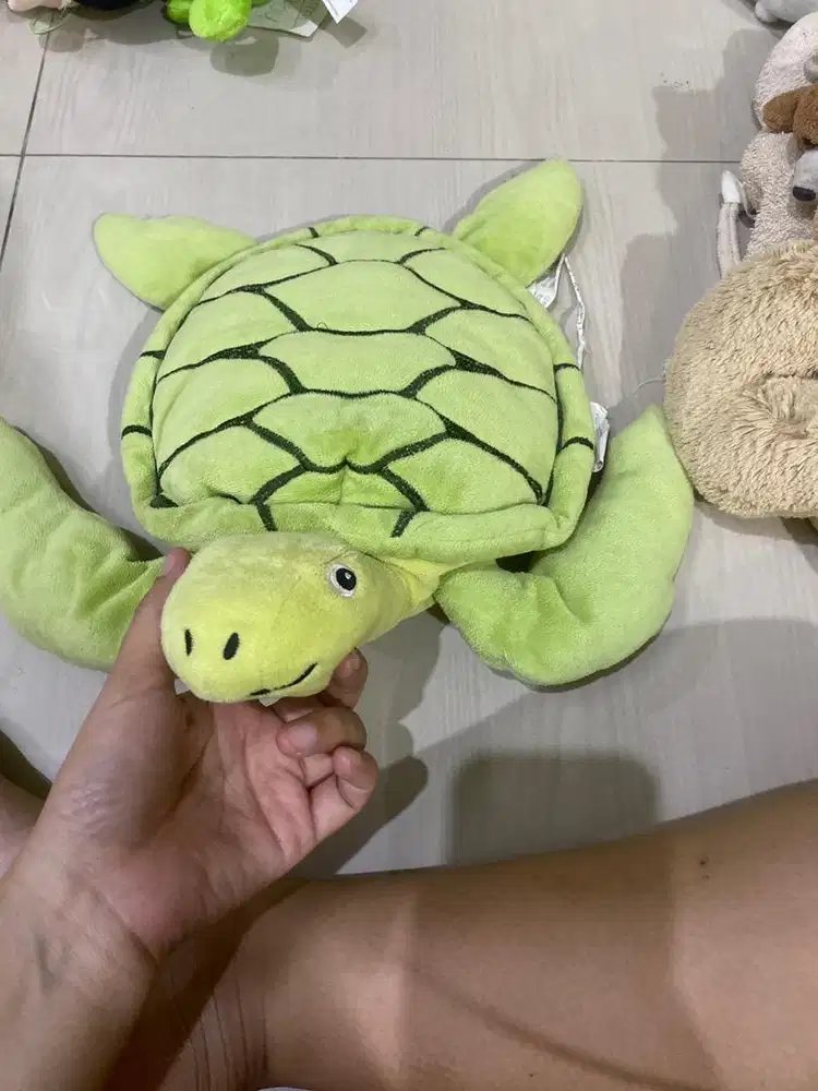 KUYA IKEYYA ASLI