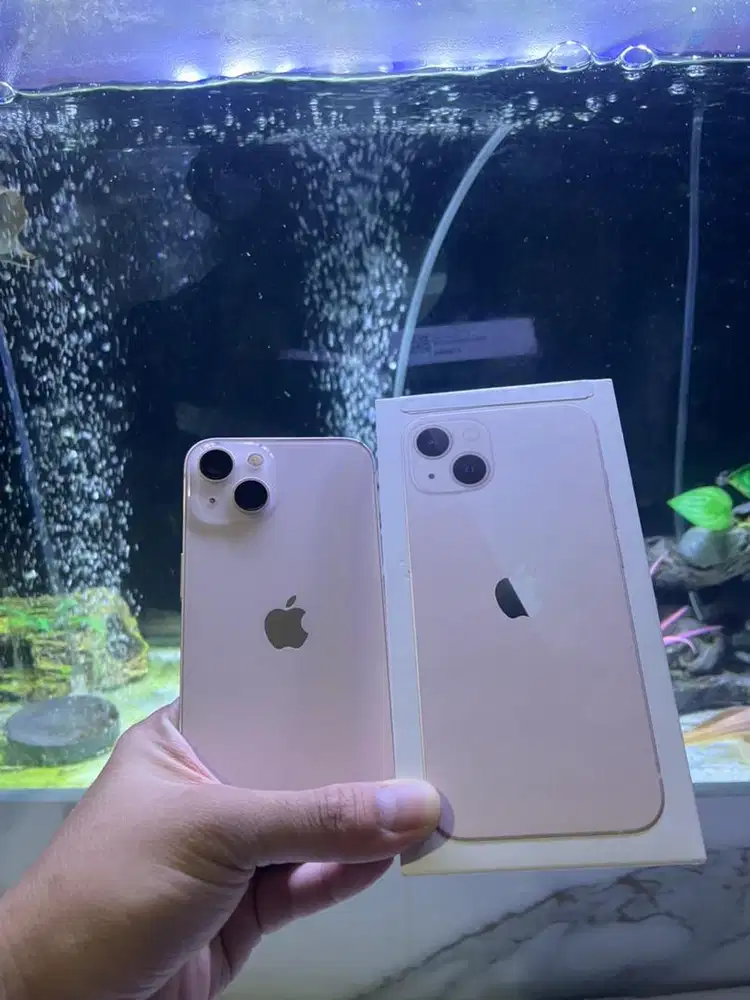 Iphone 13 128 ibox