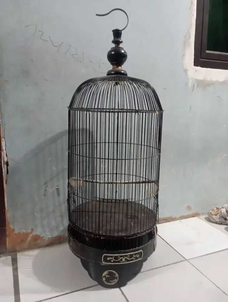 Kandang burung lovebird
