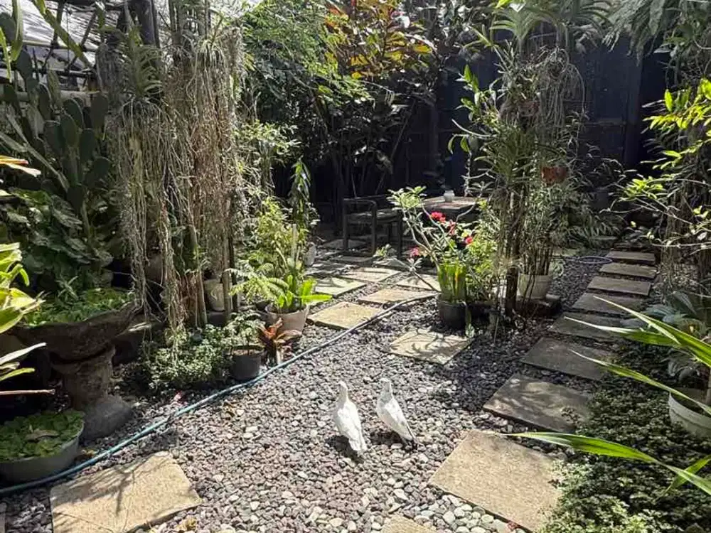 DIJUAL RUMAH PAVILIUN TROPIS DENGAN TAMAN ASRI – NUANSA UDAYANA, JIMBARAN, BALI