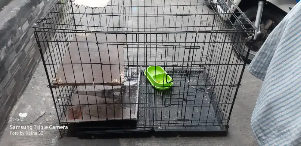 Kandang kucing jumbo