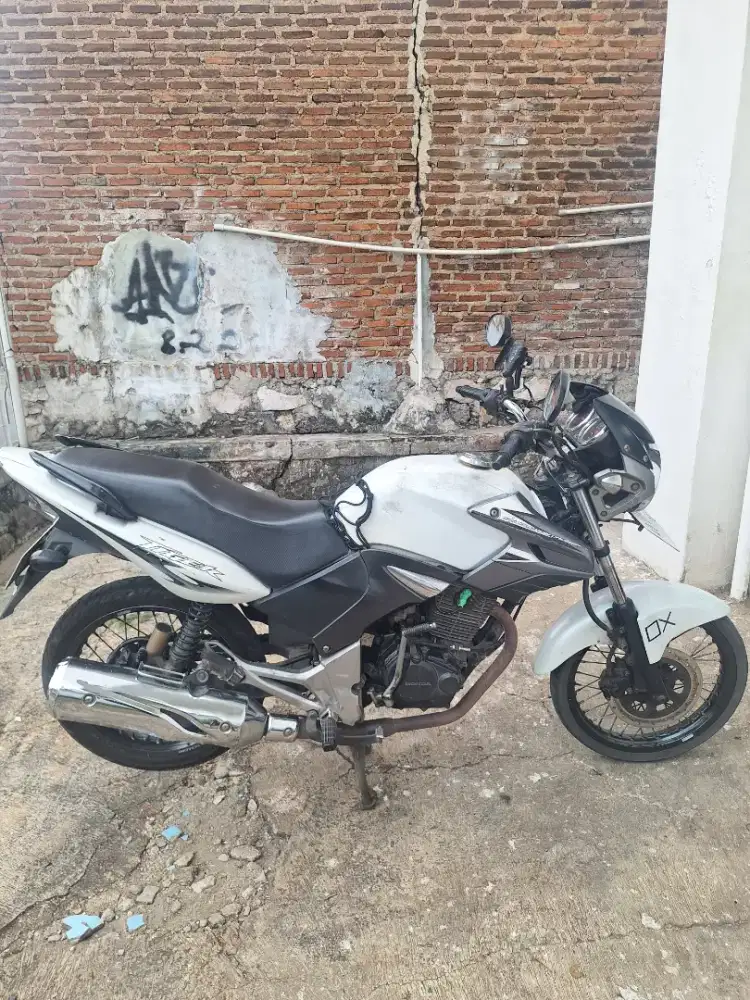 Dijual tiger revo albino