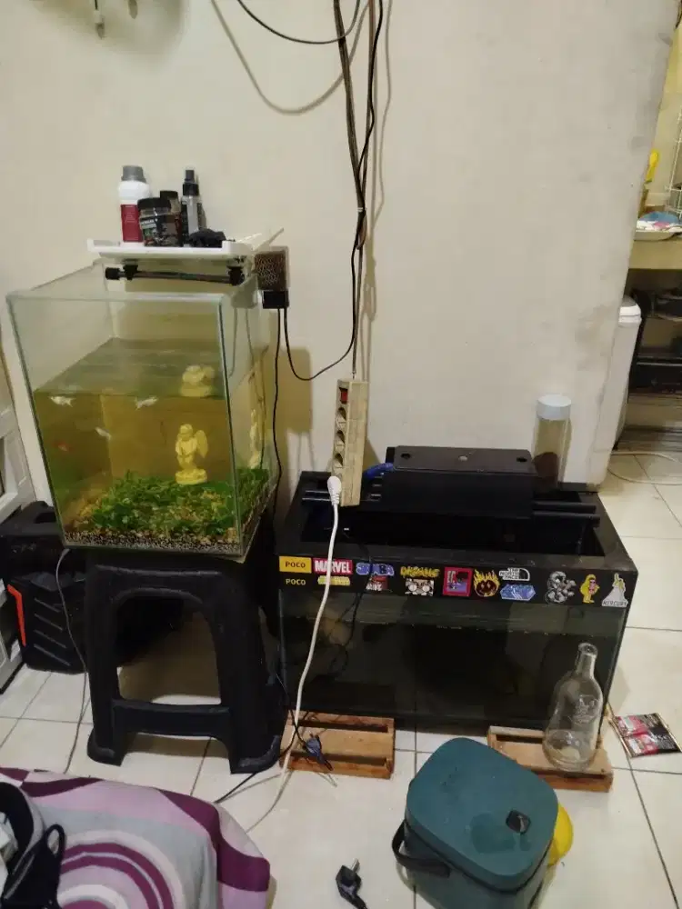 Di jual Aquarium bersama ikan ikannya