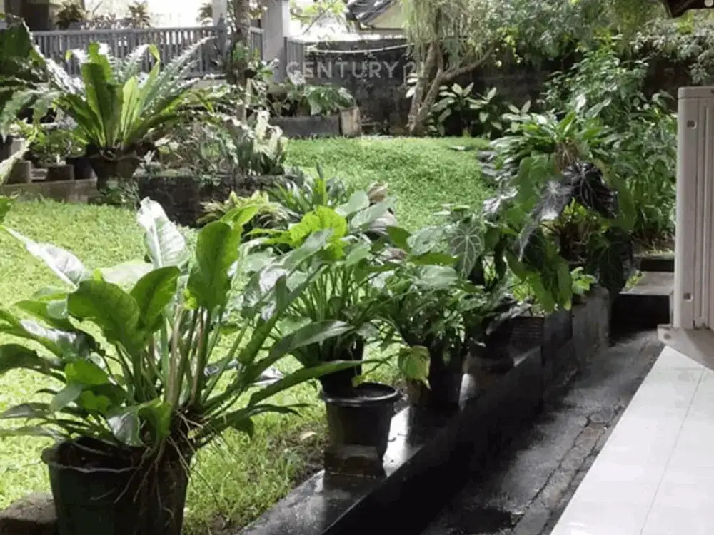 Rumah Asri Pusat Kota Siap Huni Di Jl Pakuan Baranangsiang Bogor