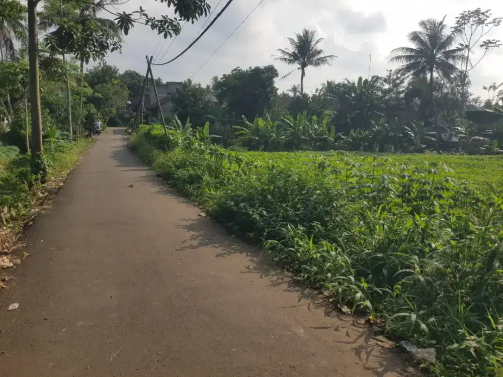 Di jual lhan tanah darat lt 2875 MTR ss SHM pinggir jln sudah ramai