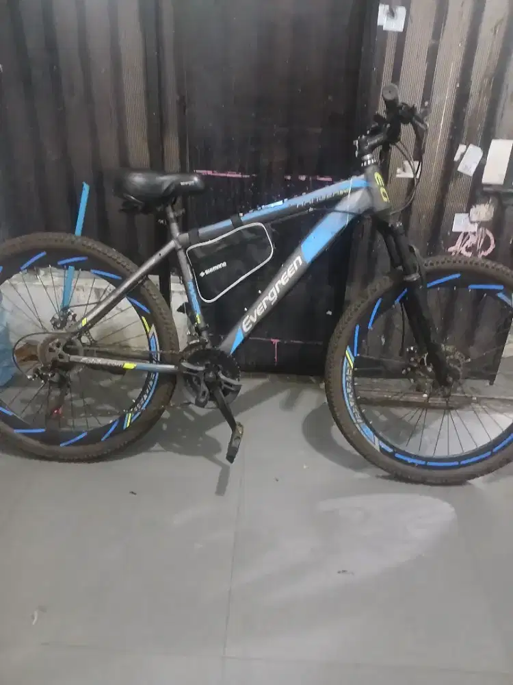Sepeda gunung mtb evergreen