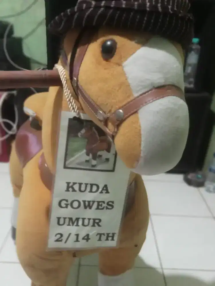 DIJUAL KUDA GOWES MURAH DAN SIAP PAKAI