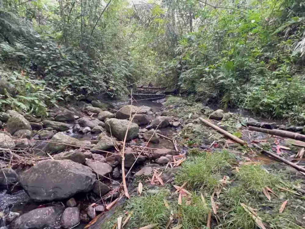 jual tanah kebun Los sungai termurah di penebel tabanan, bali.