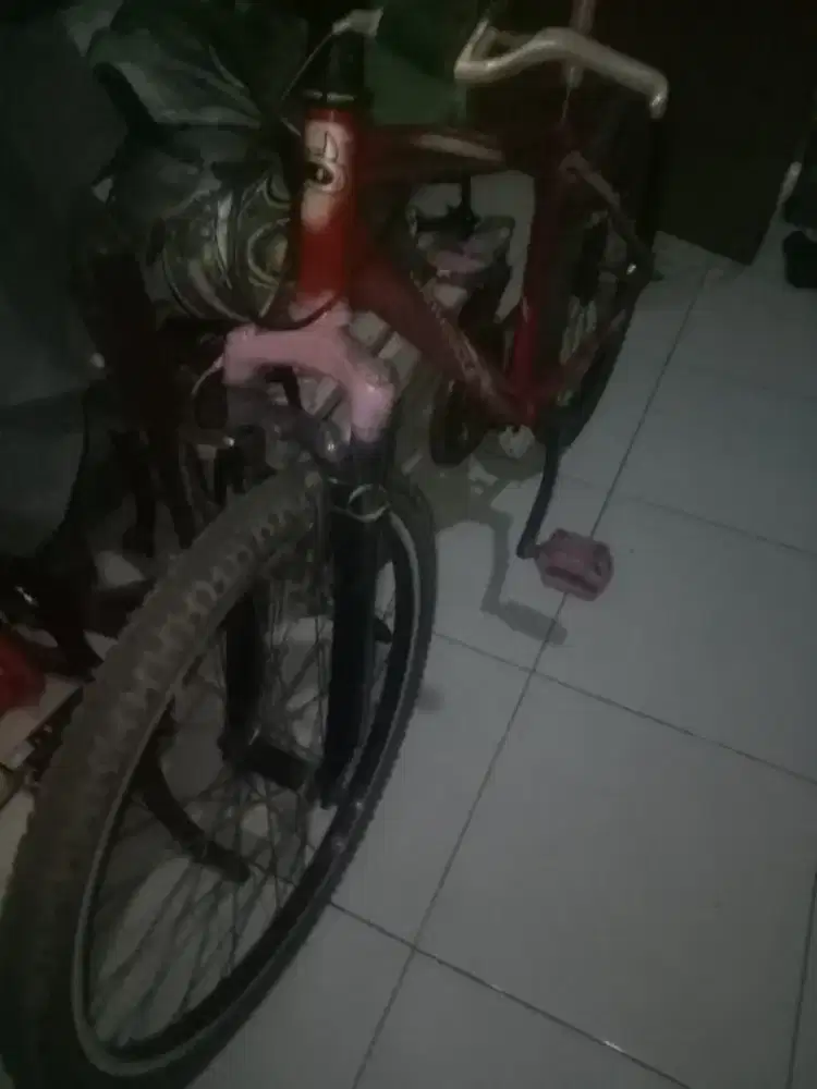 JUAL SEPEDA WIMSEKEL