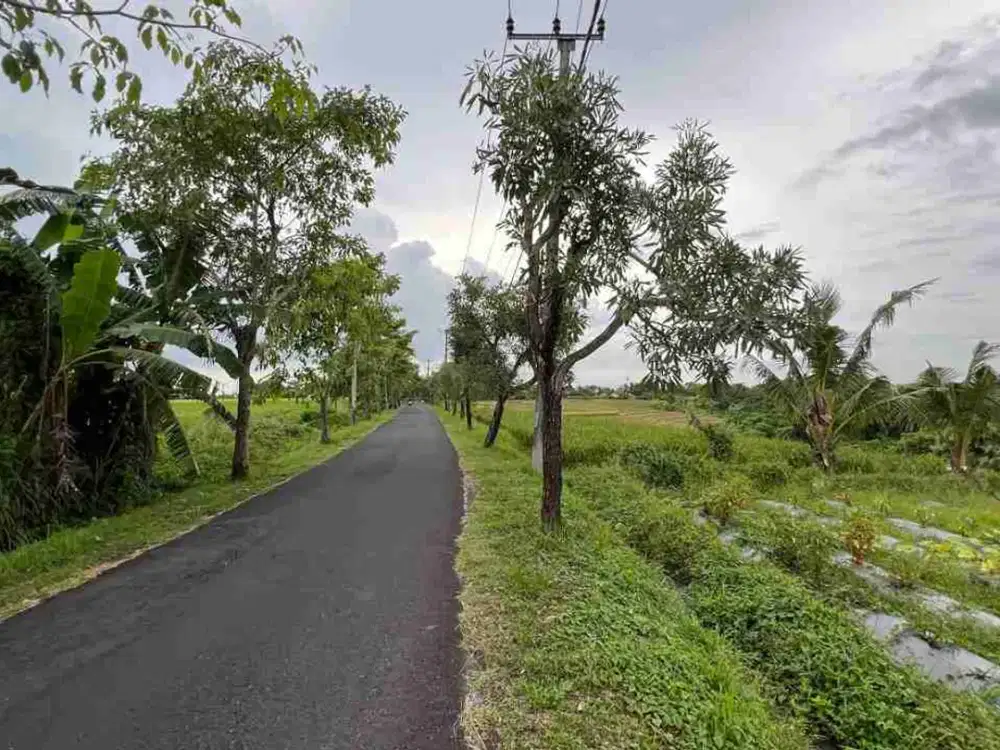 jual tanah Luas 10 are luasan kecil view sawah sungai dan gunung, dekat pantai di tabanan bali