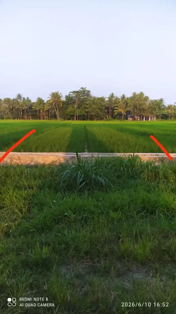 Dijual Sawah Murah Cepat Deket Jalur Kereta Api Bandara YIA