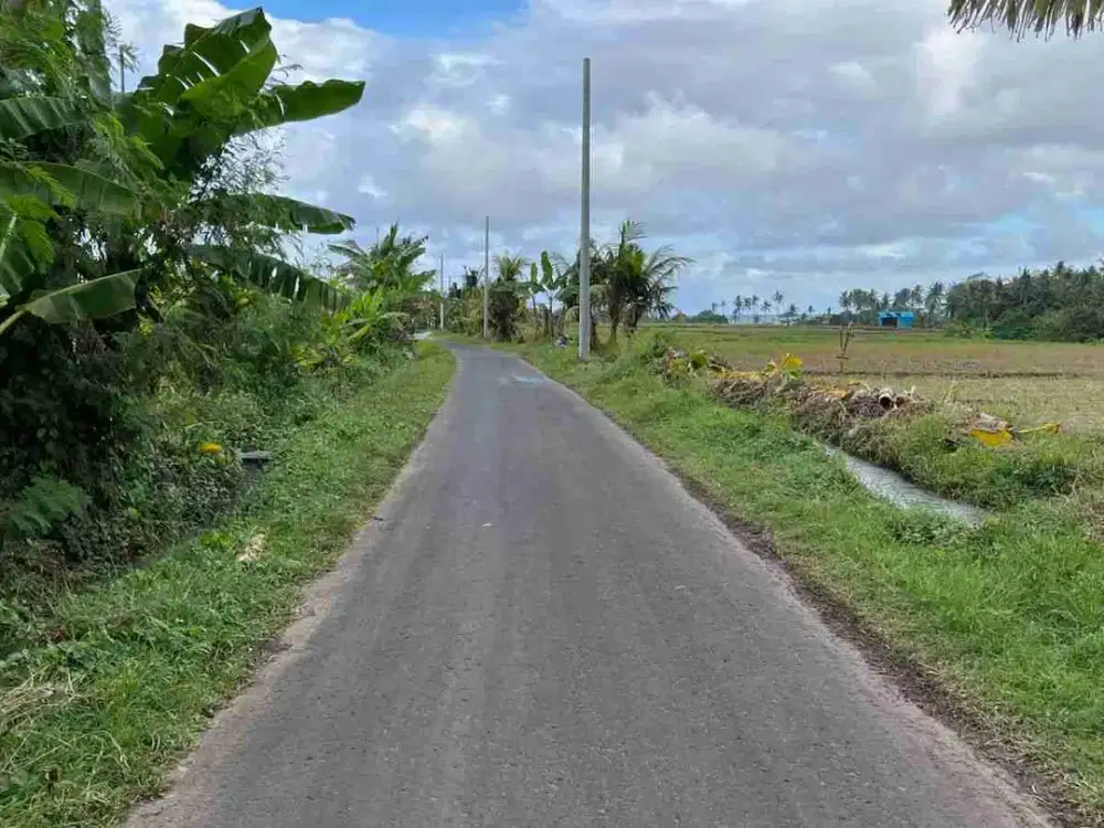 jual tanah 500 meter menuju pantai di tabanan bali