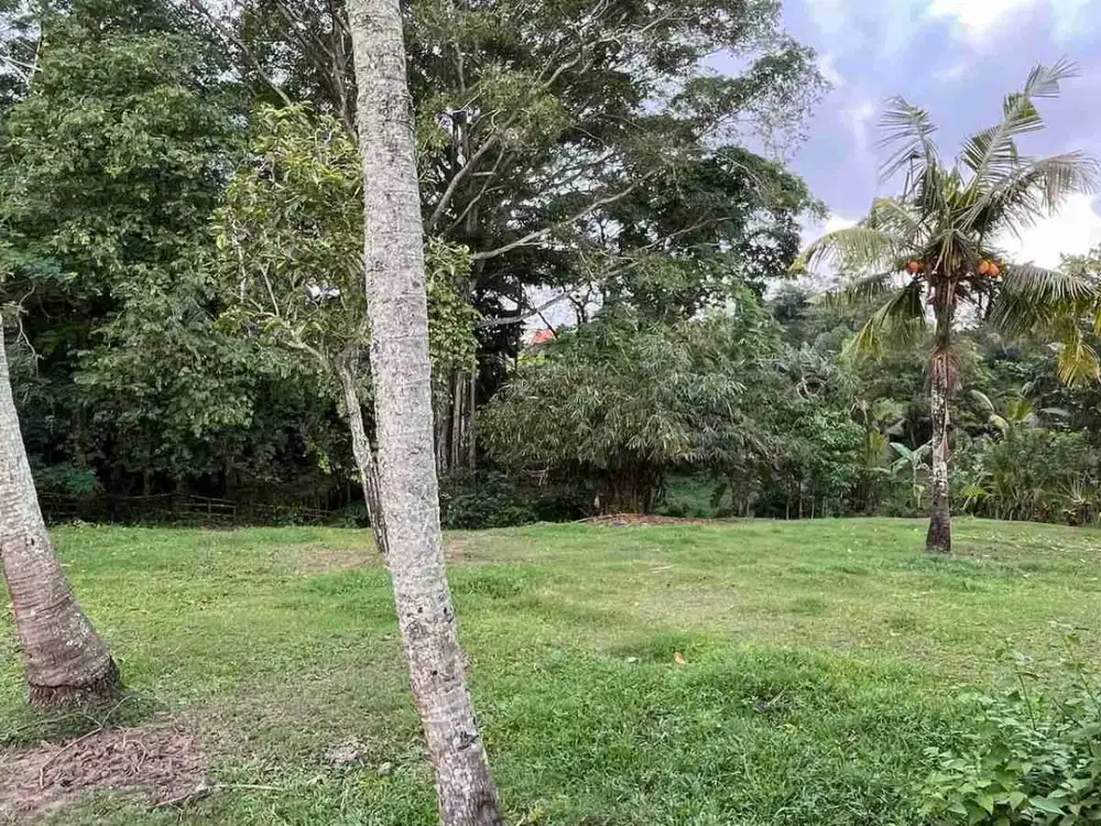 jual tanah kebun luasan kecil dekat pantai harga murah di tabanan bali.