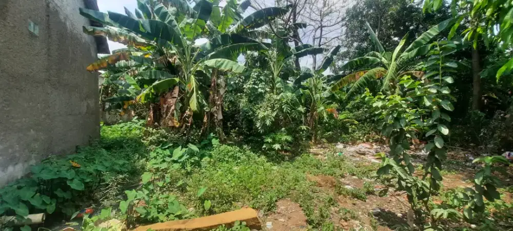 Dijual Murah Tanah kebun
