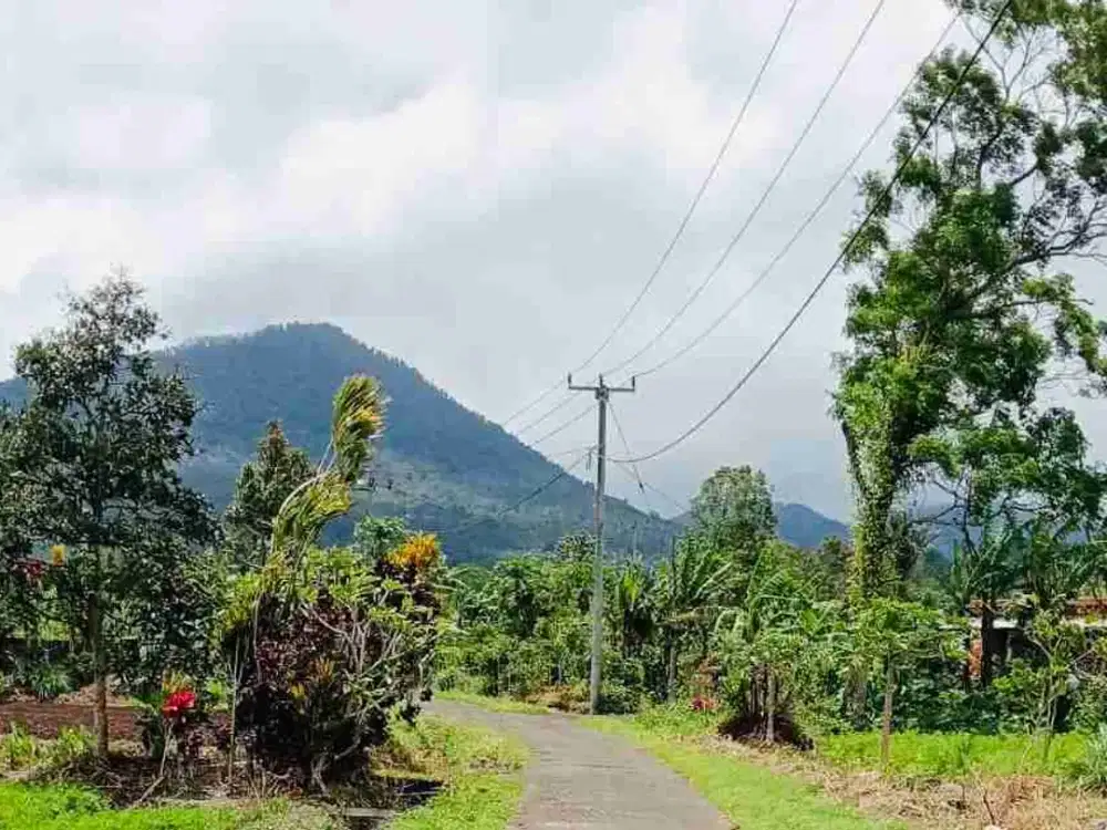jual tanah contour datar view gunung dan lembah cantik di baturiti tabanan bali.