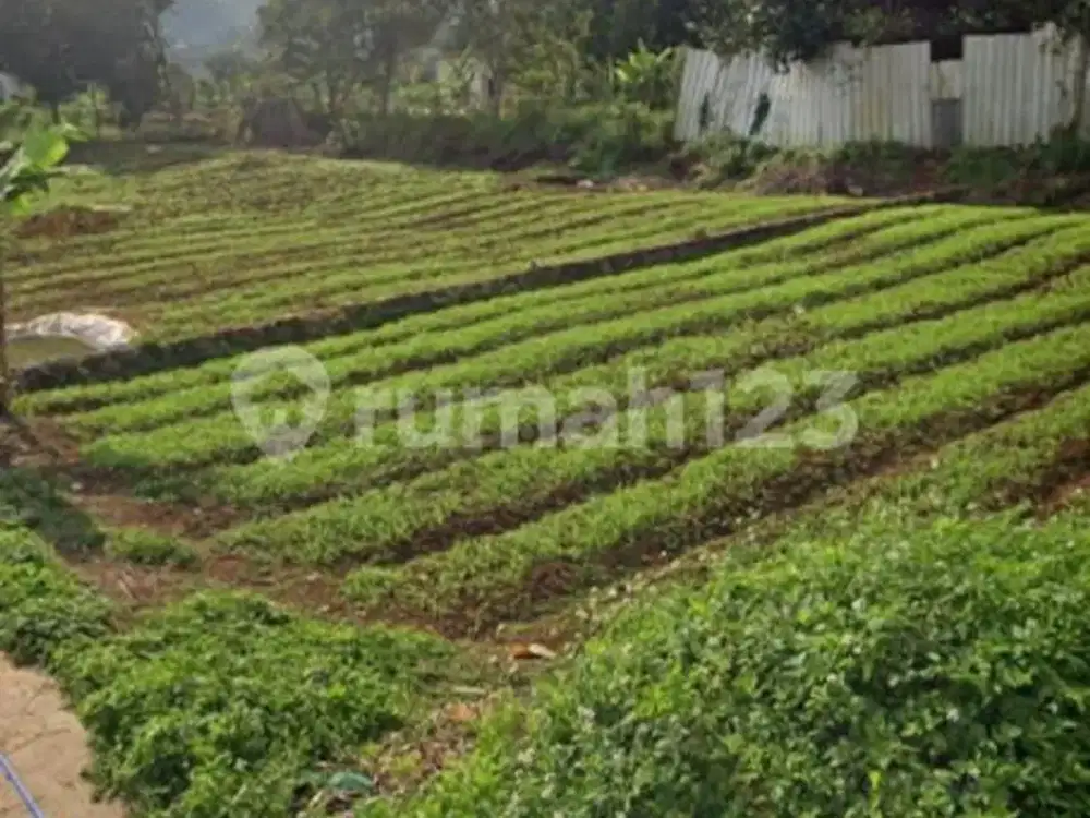 Tanah Kaling Karyabakti Cipageran Kolmas Cimahi