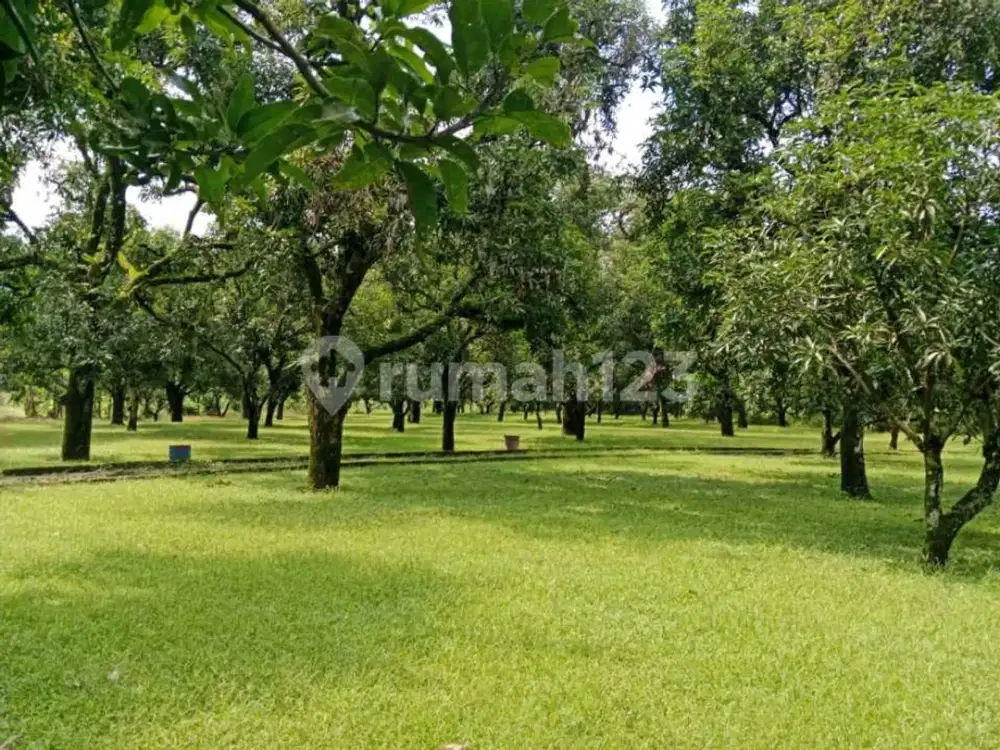 Tanah Leuwiseeng Panyingkiran Cocok Utk Villa/perumahan/cafe