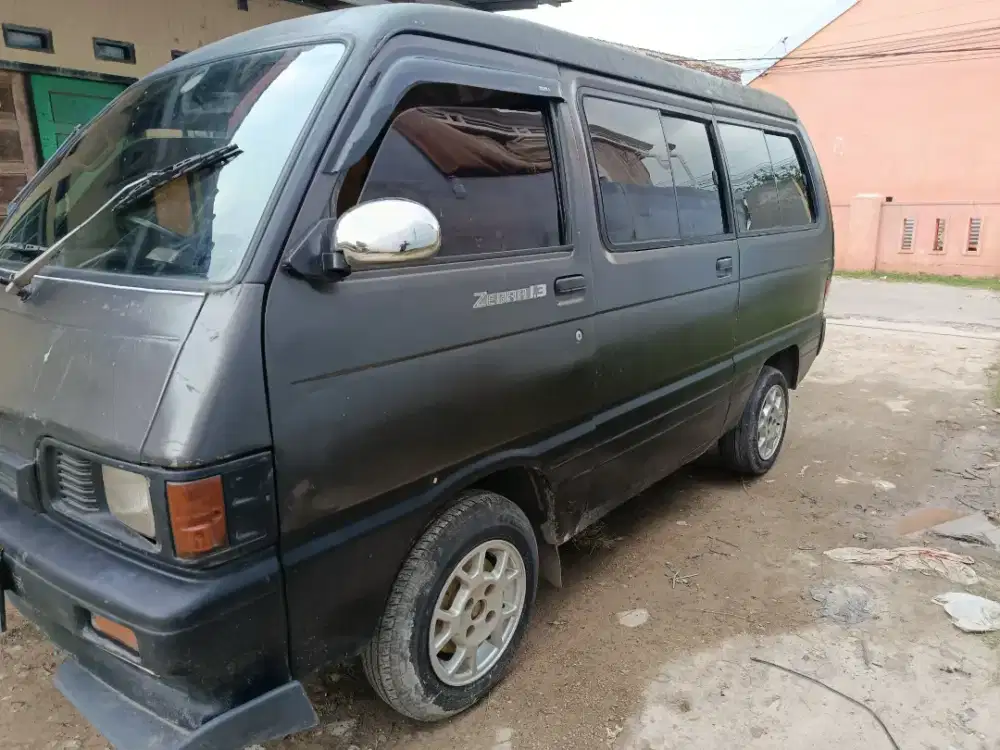 Zebra 1991 pjak hidup