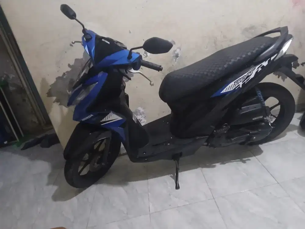Beat 2023.mulus