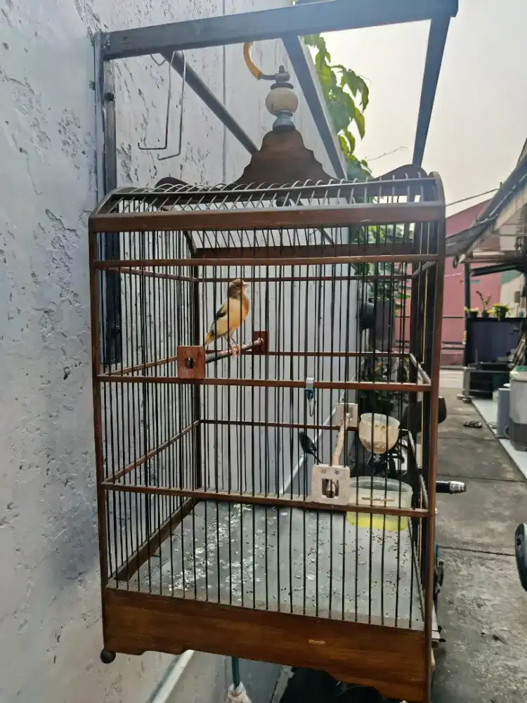 KENARI AF PAUD RIWIKAN