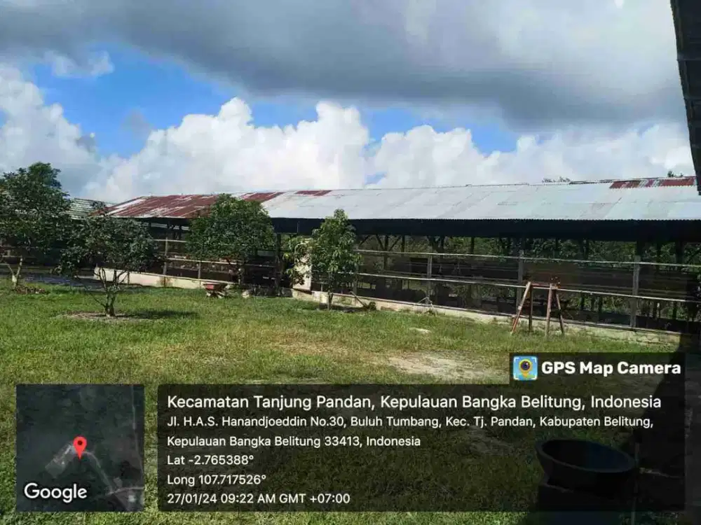Rumah plus peternakan ayam plus kebun durian n kebun