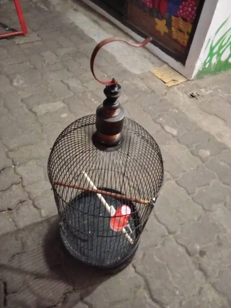 Kandang Burung Besi Kapsul Bekas