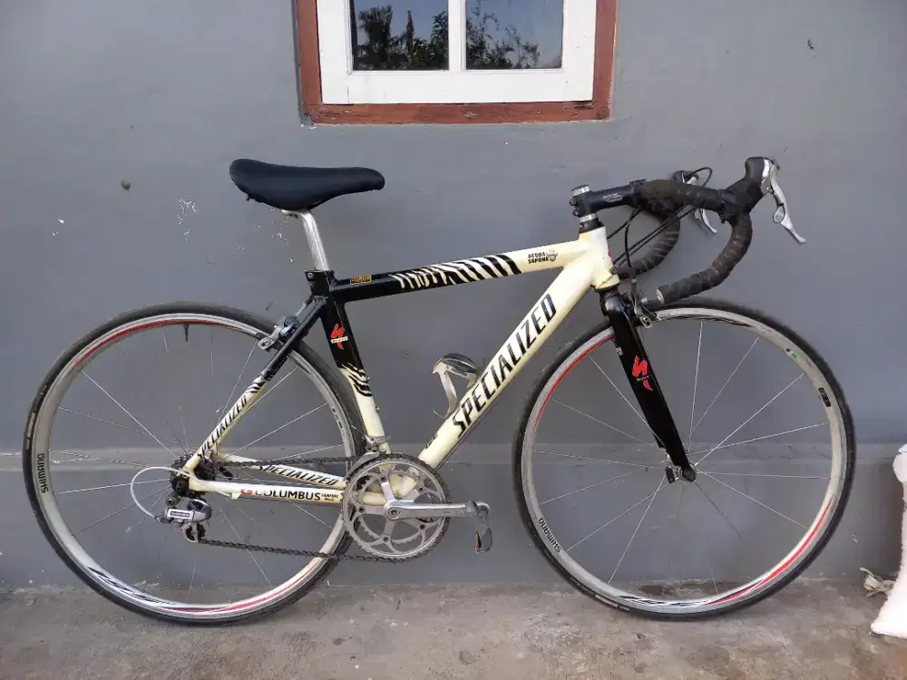 Sepeda Road Bike Specialized Acqua Sapone