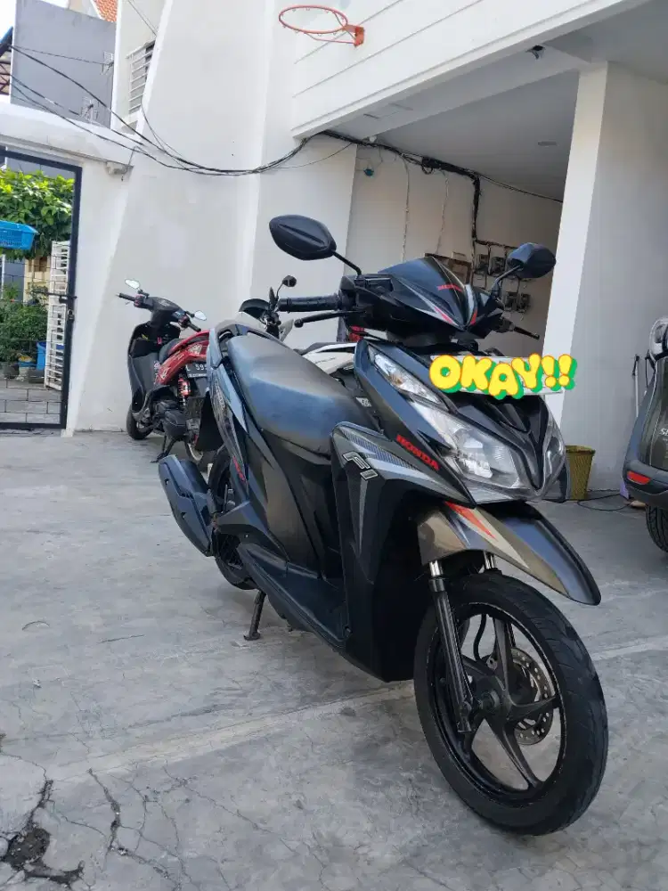 Vario KZR 2013 Halus Mulus