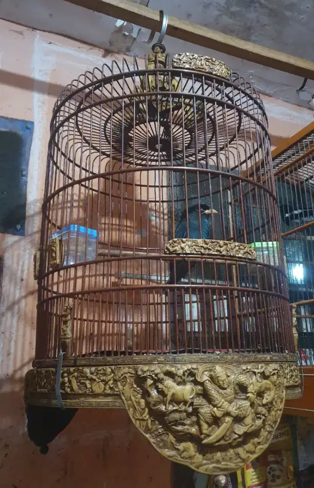 Kandang/Sangkar Burung Bulat Ukir dan Kotak Bisa Kirim SeIndonesia
