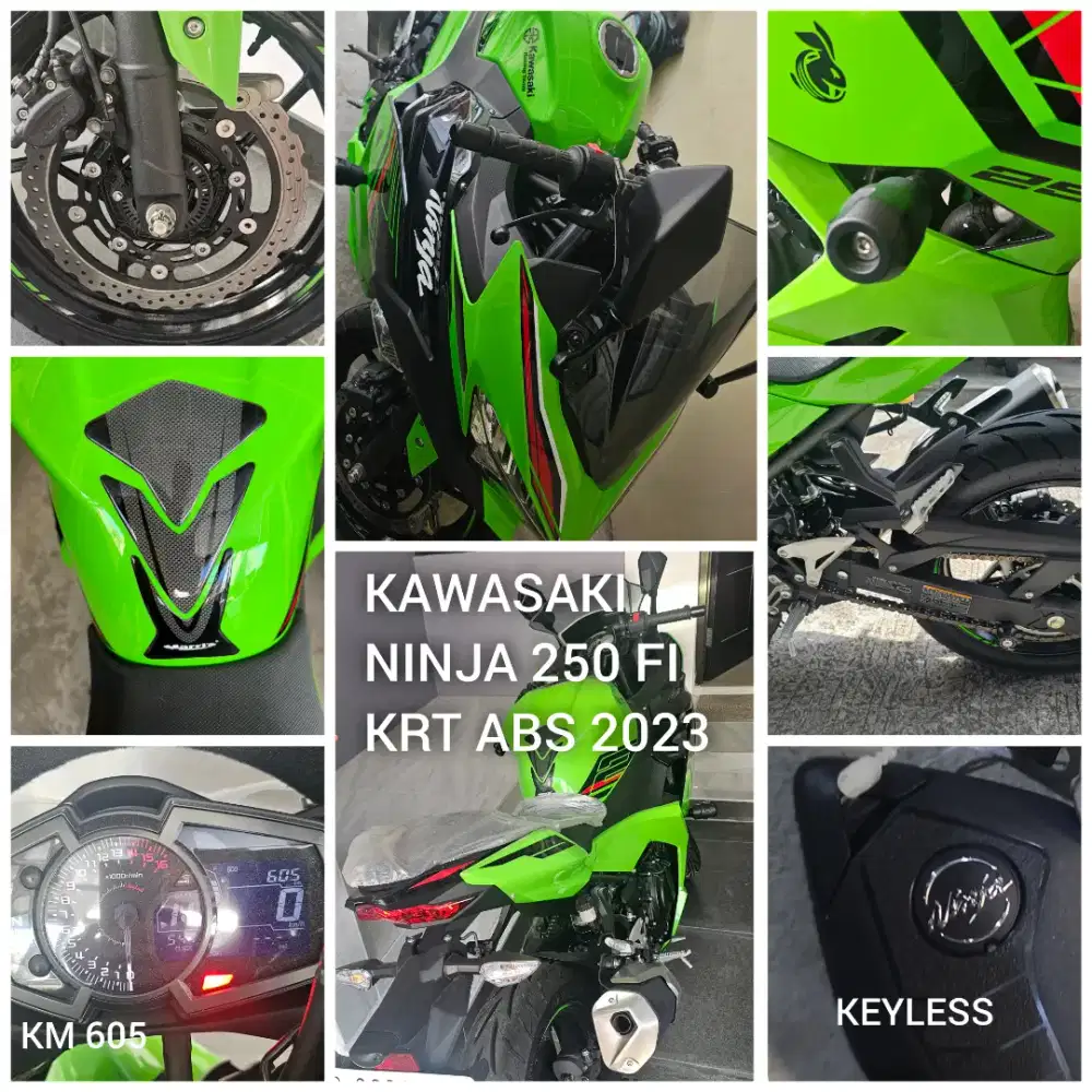 Kawasaki Ninja 250 CC FI ABS SE