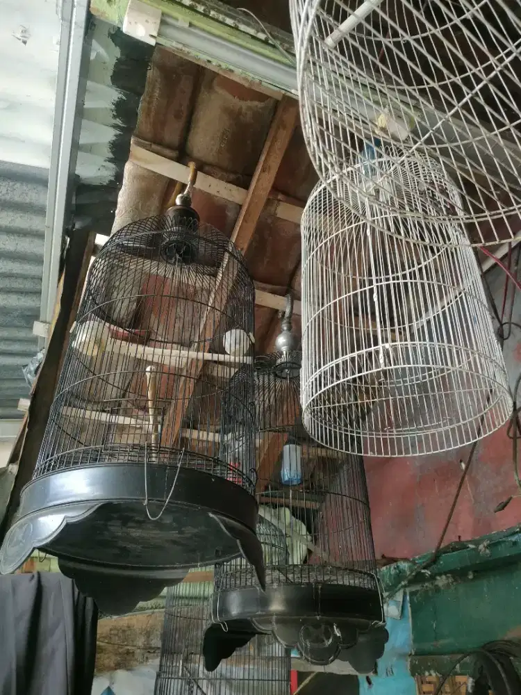 Sangkar besi bekas
